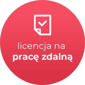 Rewizor GT - licencja oddziałowa na pracę zdalną (licencja elektroniczna)